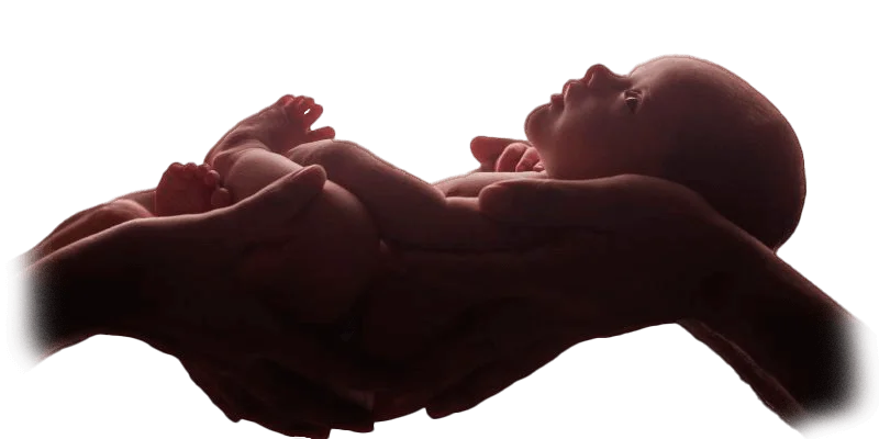 Tamiz neonatal